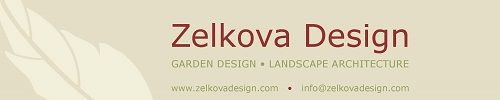 Zelkova Design